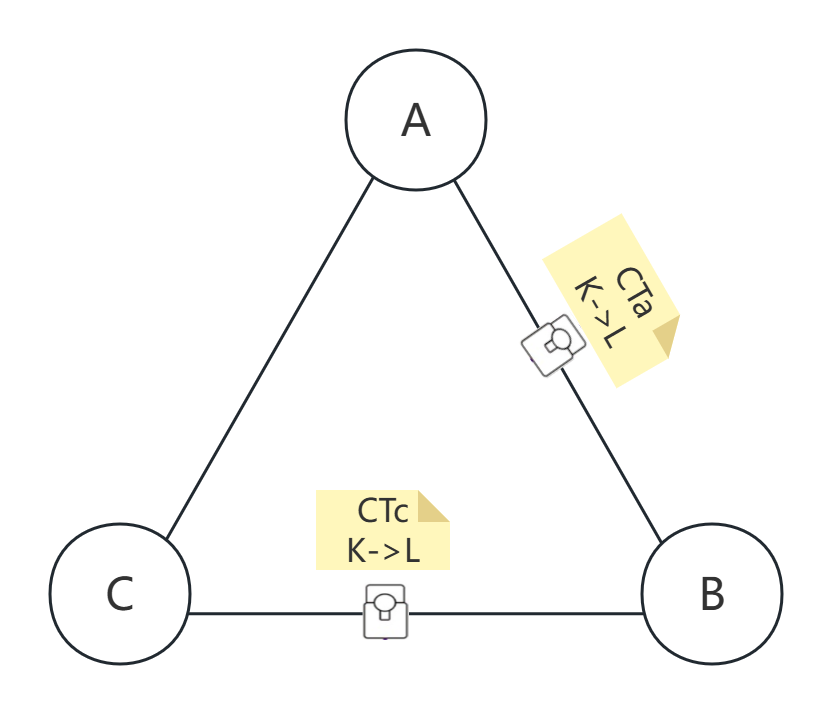 IAMMETER Delta CT direction diagram