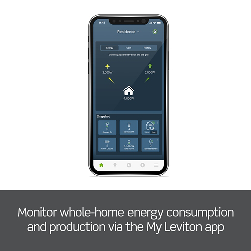 Leviton Whole Home Energy Monitor official image 2