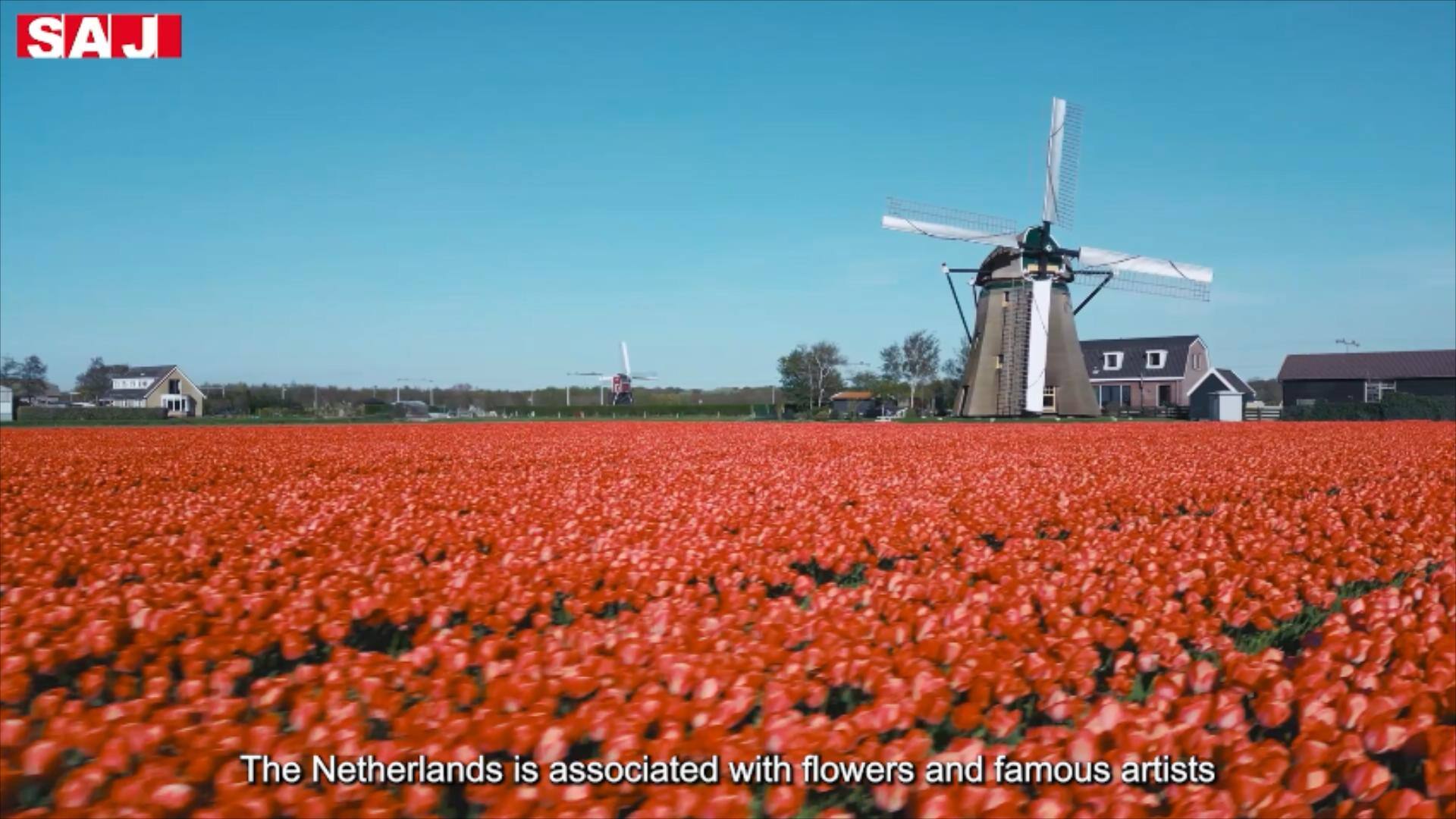 SAJ residential storage testimonial thumbnail